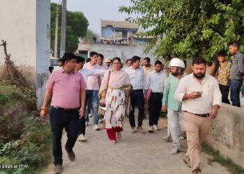 WhatsApp Image 2025-08-09 at 16.52.37_5c36bd28